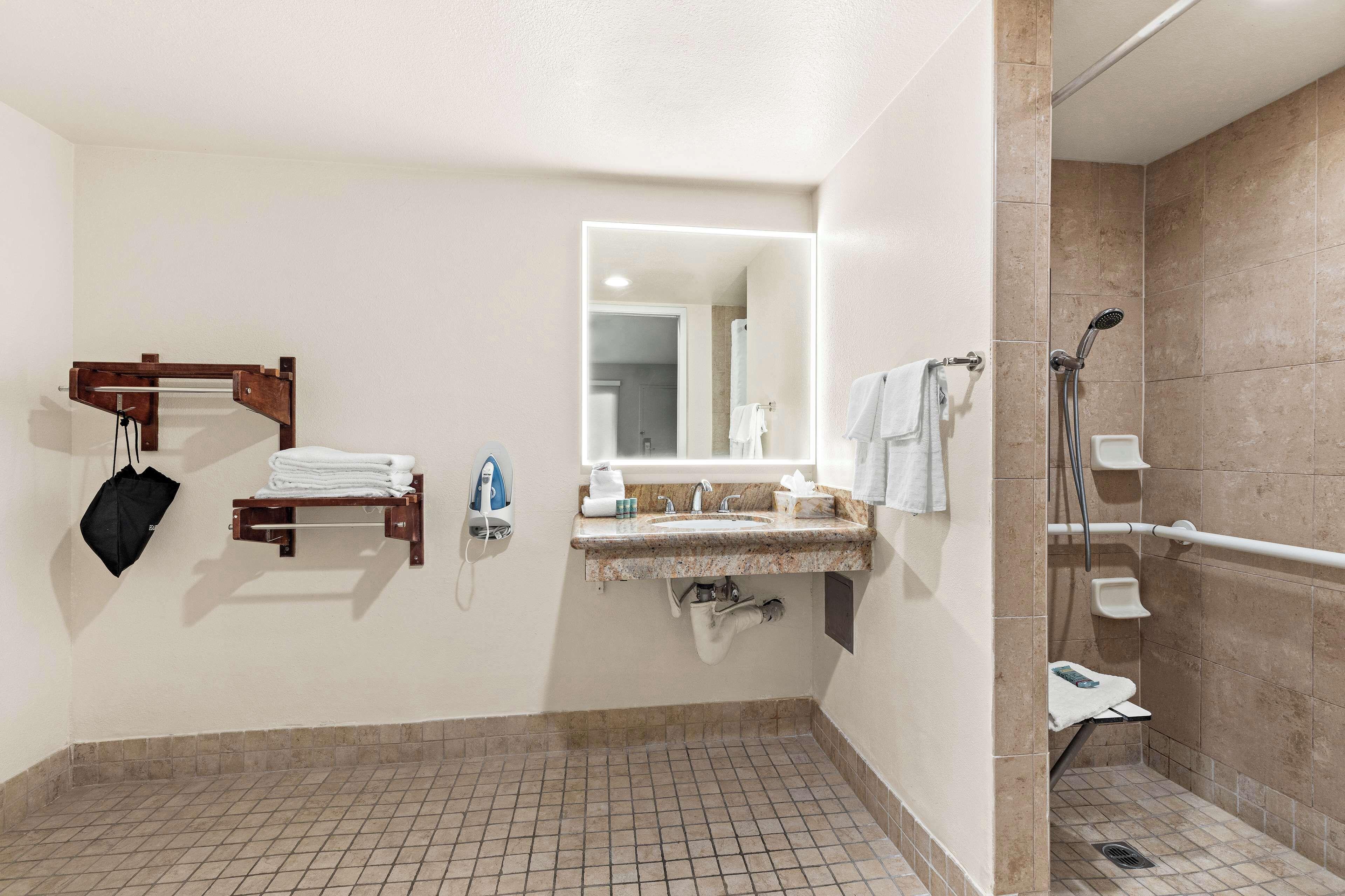King Room Roll Shower Disability Access or Non-Smoking,1706115585:JPEG